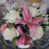 stacey_dyck